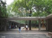 北京动物园旅游攻略 之 雉鸡苑