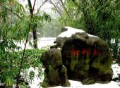 上海长风公园长风海洋世界景区旅游攻略 之 松竹梅区
