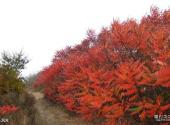 铁岭大台山灵山寺风景区旅游攻略 之 风光