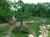 上海动物园旅游攻略 之 热带食草动物生态园