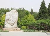 北京兴隆公园旅游攻略 之 将军林