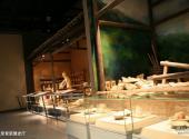 龙泉市博物馆旅游攻略 之 龙泉青瓷展史厅