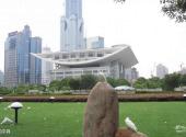 上海人民广场旅游攻略 之 和平鸽