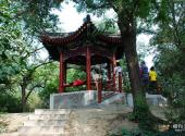 北京紫竹院公园旅游攻略 之 四君亭