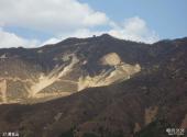 九龙山国家森林公园旅游攻略 之 黄花山