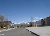 西藏大学校园风光 之 校园道路