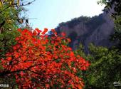 洛阳洛宁县神灵寨风景区旅游攻略 之 神灵岳庙