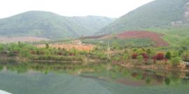 泸州凤凰湖风景区旅游攻略