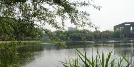 宁河七里海国家湿地公园旅游攻略