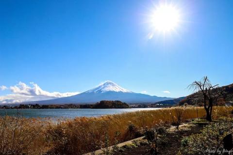 日本赏枫攻略 | 完美的枫叶富士！