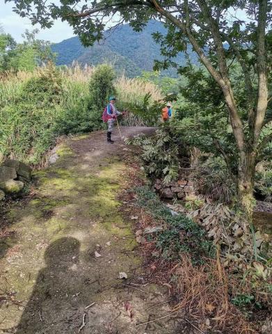 登台州最高峰米筛浪，天台县最高峰大雷山