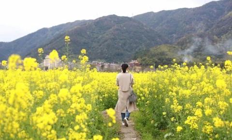 漫游淡溪天露谷 山色如黛花如海