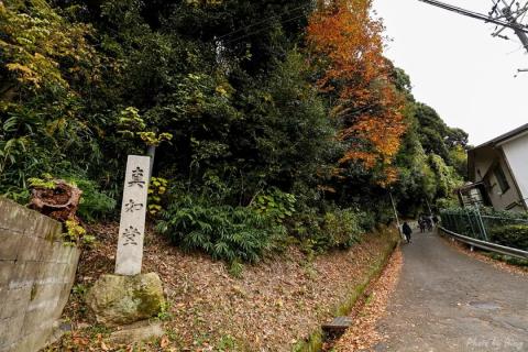 日本赏枫攻略 | 真如堂，门票无料赏枫好去处！