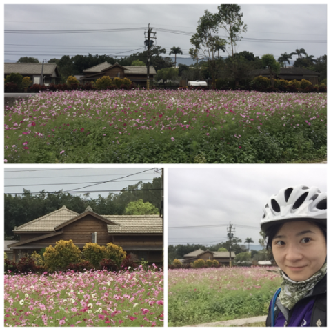 骑行台湾·第八天，瑞穗→太鲁阁 (90.6km)