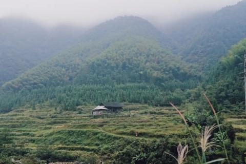 游记︱山里的秋天