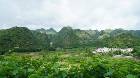 云游贵州（9）万峰林