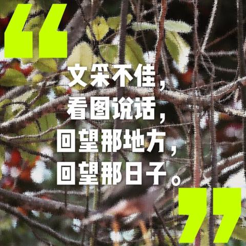 游记 | 泰国欢迎你