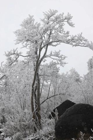 2020年的第一场雪之大寺基