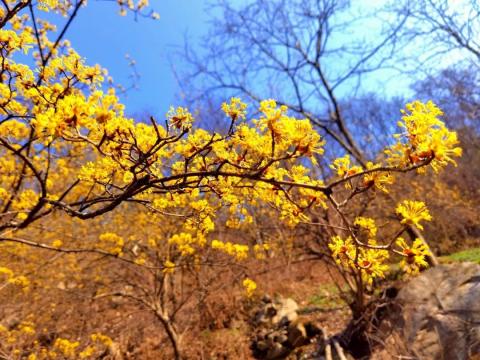 徒步终南云际山巅云际寺，三桥峪问顶云际古刹O型穿越