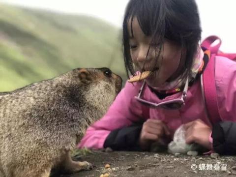 川西大环之旅 | 第五天：回首，再看一眼，莫斯卡！