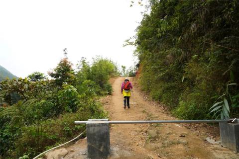 一座适合看杜鹃花的山—天露山