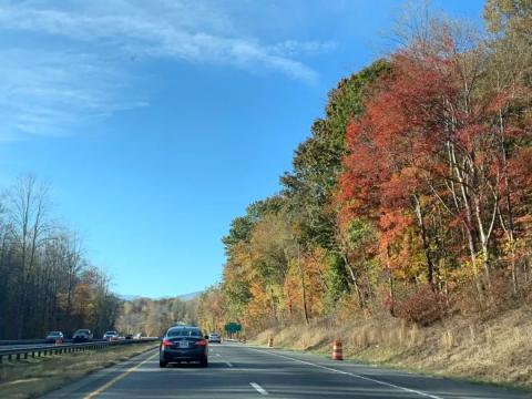 阿什维尔(Asheville)，山中赏叶观瀑！