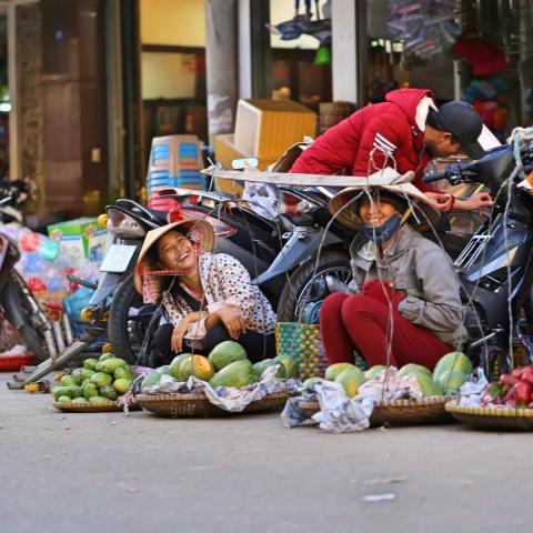 【游记】有空去越南大叻街市买几斤花吧~