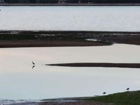 湛江行（赤坎老街）