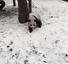 根本不用跑去雪乡挨宰，冬天来这儿自驾玩雪才是上策！