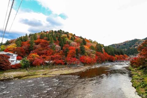 日本赏枫攻略 | 满山漫天枫叶的香岚溪！