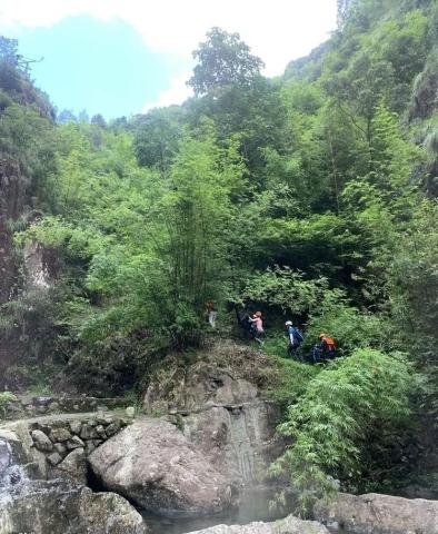 游记|又见东坑龙井峡谷