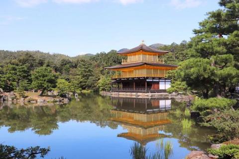 台风下的日本游记—记2019年日本行(四)