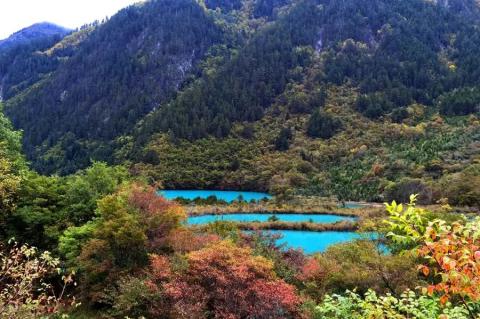 瑶池本是在人间——九寨沟黄龙之旅（上）