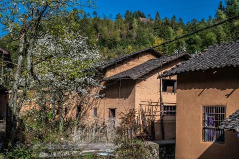 梨花古韵的高田坑村—开化春游记2