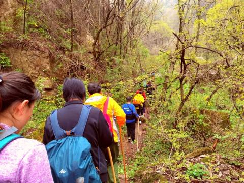 五上黄峪寺，黄峪沟徒步登顶三寺穿越赏满山白娟梅