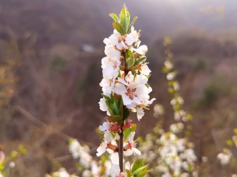 四上箭峪岭，带队团建，寻灞河源头/一脚踏三县