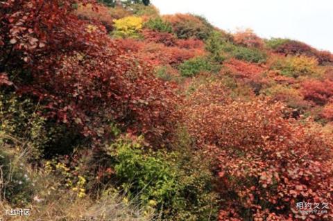 石家庄平山银河洞旅游攻略 之 红叶区