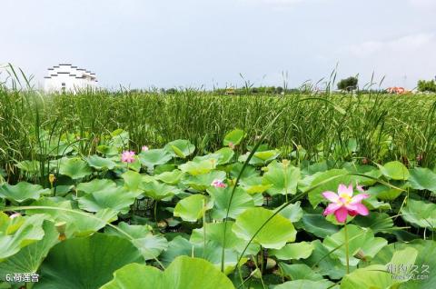 大庆黑鱼湖生态景区旅游攻略 之 荷莲宫