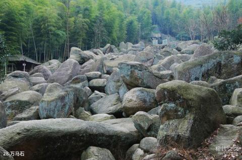 杭州山沟沟风景区旅游攻略 之 万马石