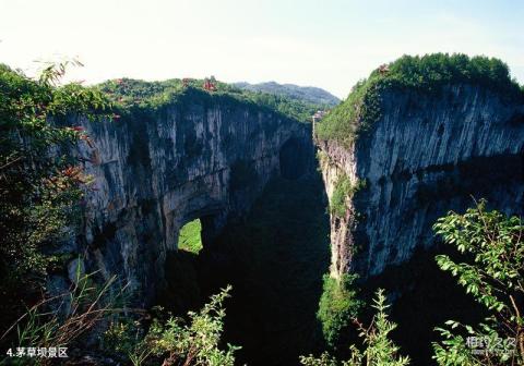 奉节天坑地缝旅游攻略 之 茅草坝景区