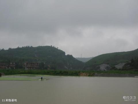 盱眙铁山寺国家森林公园旅游攻略 之 鲟鱼基地