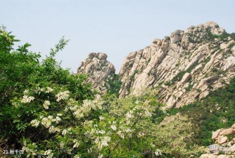 平度大泽山风景区旅游攻略 之 秋千口