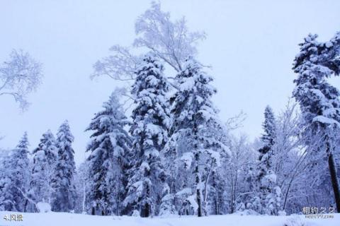 黑龙江中国雪乡旅游攻略 之 风景