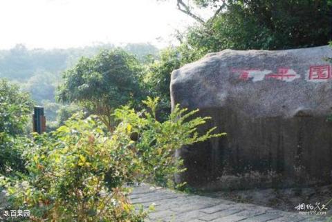 亚龙湾热带天堂森林公园旅游攻略 之 百果园