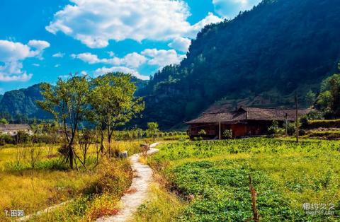 重庆黔江土家十三寨旅游攻略 之 田园