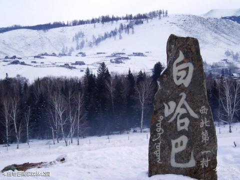 新疆喀纳斯景区旅游攻略 之 白哈巴国家森林公园