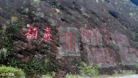 武夷山风景区旅游攻略 之 九龙窠