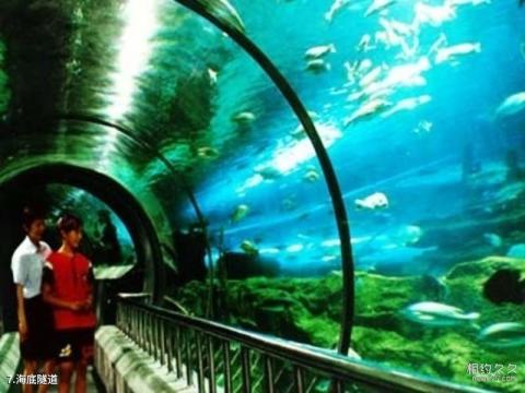 秦皇岛新澳海底世界旅游攻略 之 海底隧道