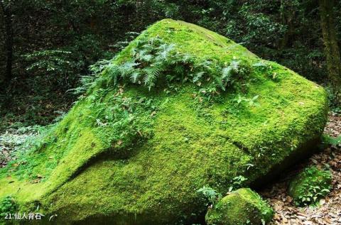 楚雄紫溪山风景区旅游攻略 之 仙人背石