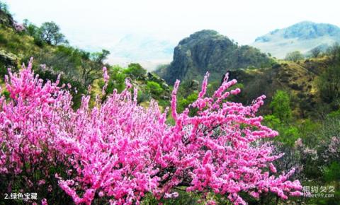 乌兰木图山旅游攻略 之 绿色宝藏